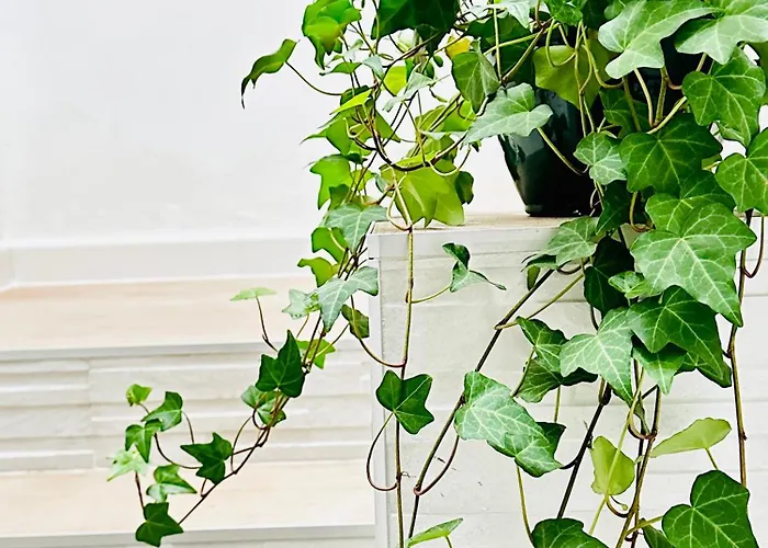 Ca'artu Frühstückspension Pozo Izquierdo