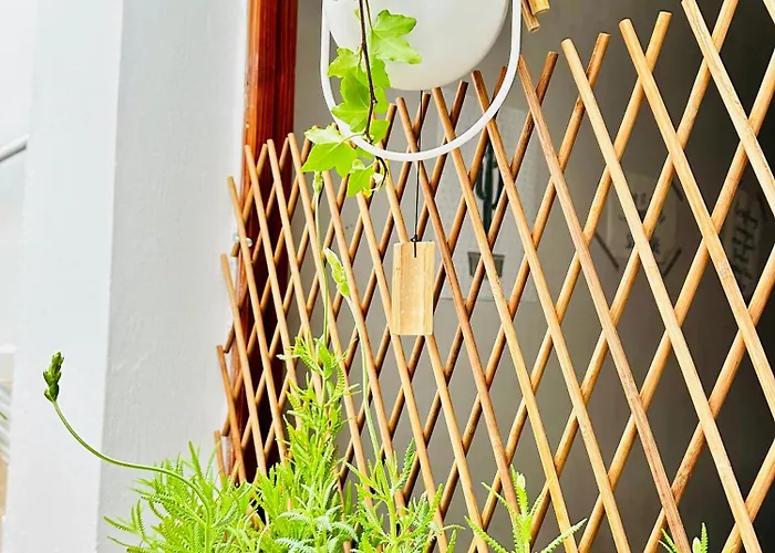 Ca'artu Pozo Izquierdo